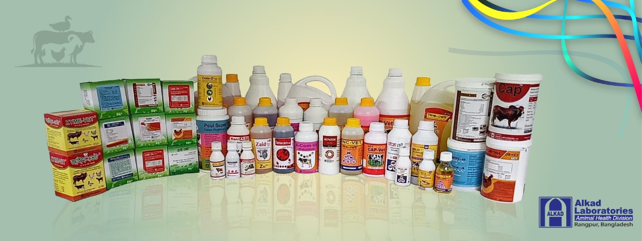 banner_img1